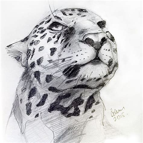 Jaguar Sketch - Pen and Pencil Drawing