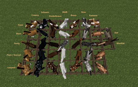 Minecraft Horse Texture