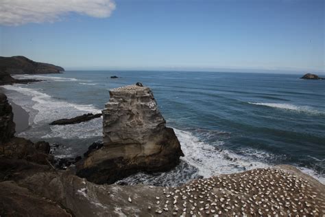 A Visit to Tomorrow: Muriwai Beach