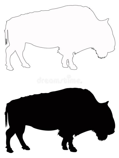 Head Of Buffalo Stock Vector Illustration Of Bison 89757323