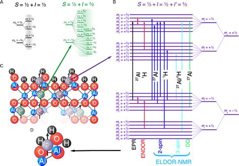 Advancing Materials Science For Superconducting Quantum Circuits