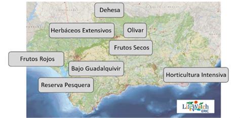 El Ifapa Pone En Marcha El Proyecto Indalo Para Observar Ocho Ecosistemas