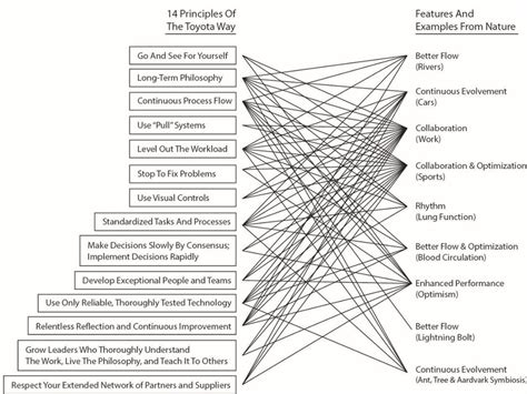 Lean Principles As Compared With Features And Examples From Nature