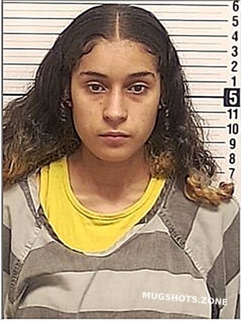 Lark Brianna Eliora Bay County Mugshots Zone