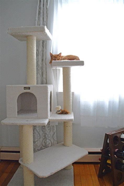 11 Creative Cat DIY Home Projects for Cat Lovers | DIY Projects | Cats ...