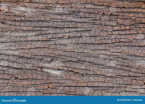 Texture Of Old Cracked Wooden Plank Stock Photo Image Of Pattern