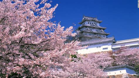 Himeji Castle - Hyogo [1100x619] : r/japanpics