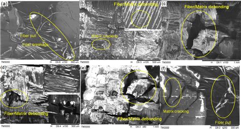 Scanning Electron Microscope Photographs Of Interlaminar Tensile