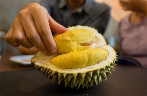 Durian Punya Bau Yang Sangat Menyengat Ini Alasan Ilmiahnya HiTekno