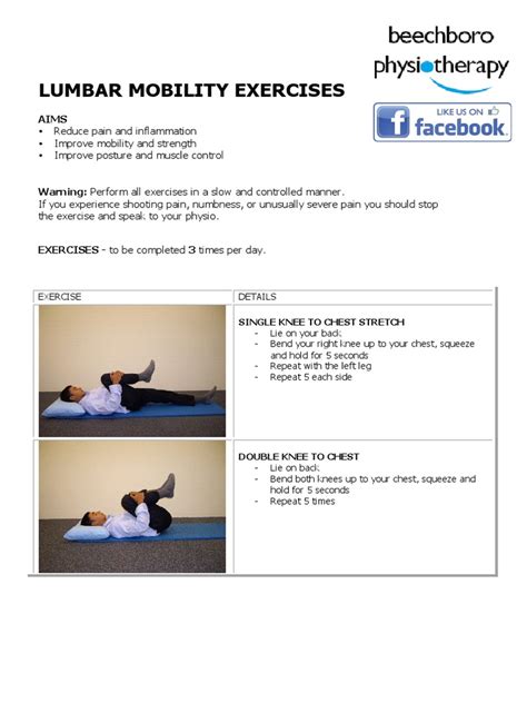 Info Sheets Lower Back Stretches | PDF