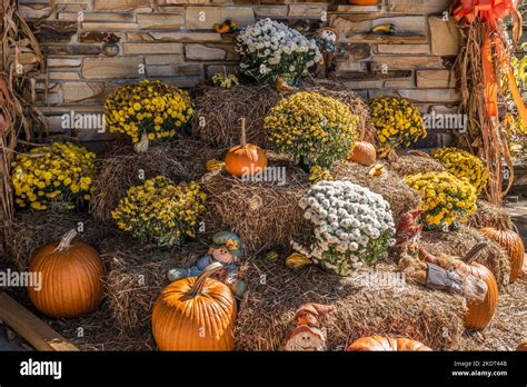 A collection of seasonal items scarecrow dolls, pumpkins, hay bales ...