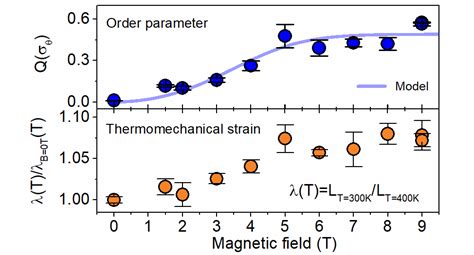 Deuteron NMR investigation on orientational order parameter in polymer ...