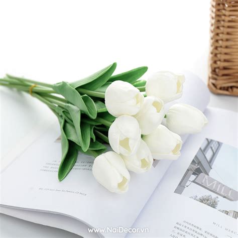 Top 47 Hình Ảnh Hoa Tulip Trắng Update