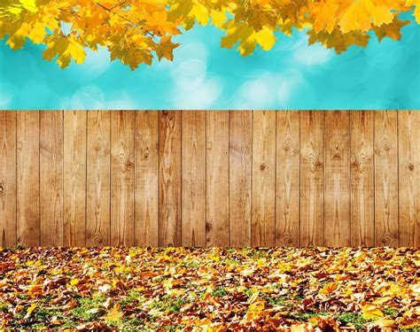 Fall Leaves Background Autumn Backdrops IBD-19352 – iBACKDROP