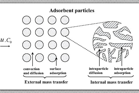 Schematic Of The Adsorption Process In A Channel Filled With Circular