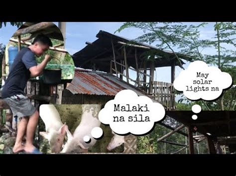 Iwanan Kona Ang Aking Kubo Sa Tuktok Ng Bundok Philippines Vlog