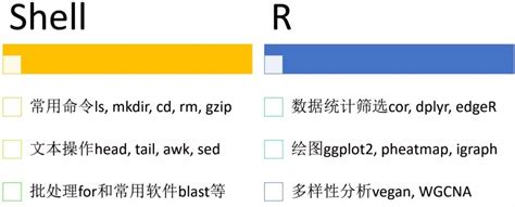 三天实现独立分析宏基因组数据 有参、无参和分箱等 Csdn博客