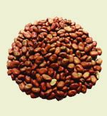 Beans horse (Horse beans) – Kolyar, OOO | all.biz