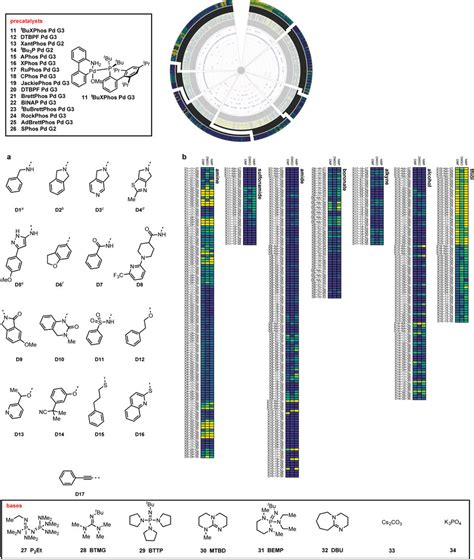 Catalyst Base Survey See Fig 3 A Diverse Model Nucleophiles D1 D17 Download Scientific