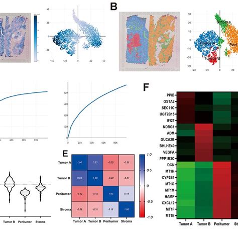 Coding And Non Coding Rnas In The Human Genome Trnas Transfert Rnas Download Scientific