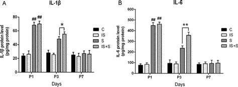 Hippocampal levels of IL 1β A and IL 6 B protein were measured by