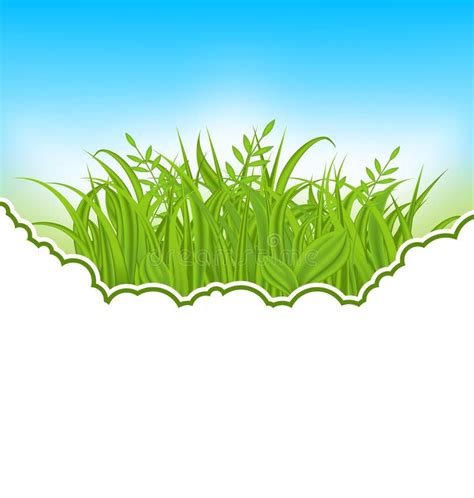 Green Grass Stock Illustration Illustration Of Decoration 23354901