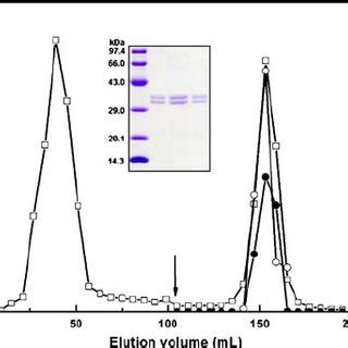 Size Exclusion Chromatography Superdex Elution Profile Of Ppo And