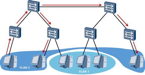 Vlan From Vlan Csdn