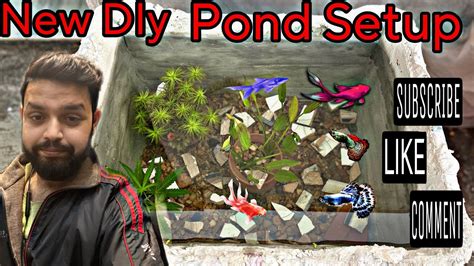 New Diy Fish Pond Setup গরমকালে মাছের পরিচর্যা কিভাবে মাছ এর যত্ন