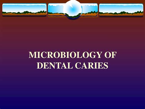 Ppt Microbiology Of Dental Caries Powerpoint Presentation Free