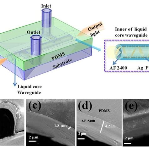 A Schematic Of The Sers Chip B Waveguide Cross Section C E Sem