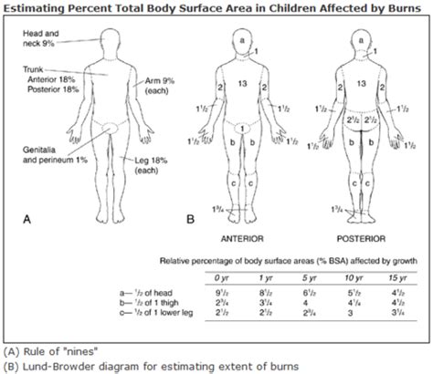 Rehabilitation Of Burns In Disasters And Conflicts Physiopedia