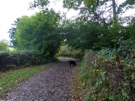 Bridleway Ba Robin Webster Geograph Britain And Ireland