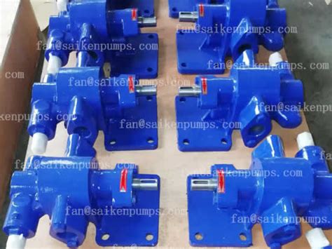 Portable Stainless Steel Gear Oil Pump Saiken Pumps