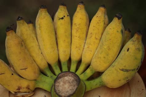 banana stock image image  fruit closeup organic