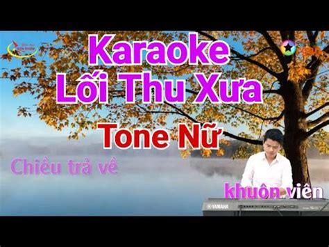 Karaoke L I Thu X A Tone N S N Ph M Media Youtube