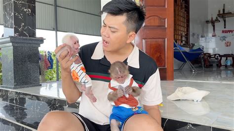 Monkey Sinsin And Baby Monkey Zizi Hugged Dad Tightly For Fear Of Dad