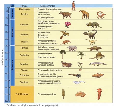 Todos Os Organismos Vivos Estão Sujeitos A Processos Evolutivos