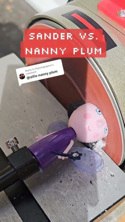 Sander Vs Nanny Plum 😭 Satisfying Experiment Youtubeshorts