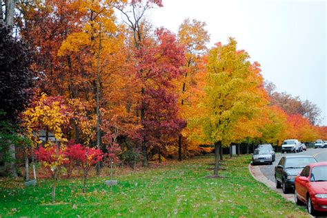 Blue Ridge Mountain Home: Fall Foliage