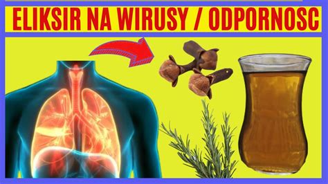 Naturalny Antybiotyk Na Bakterie I Wirusy Herbata Na Odporno