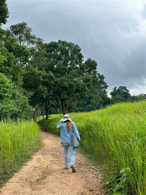 เที่ยว🤔“เขาใหญ่⛰️🍃หน้าฝน🌧️☔️” อันตรายมั้ยนะ แกลเลอรีที่โพสต์โดย