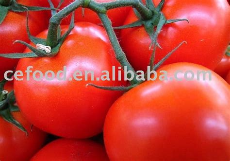 Diced Tomatochina Buyers Label Price Supplier 21food