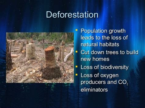 Impact Of Human Activities On Environment