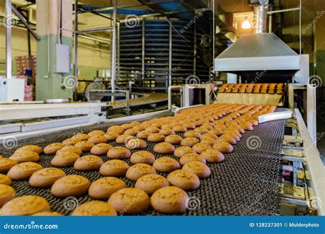 Confectionery Factory. Production Line of Baking Cookies, Selective ...