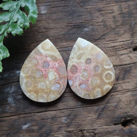 Agate Fossils Coralmohs Scales Of Mineral Hardnessagate Etsy