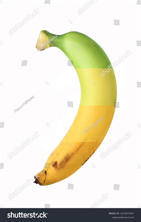 Ripening Stages Banana Isolated On White Stock Photo 2212072657 ...