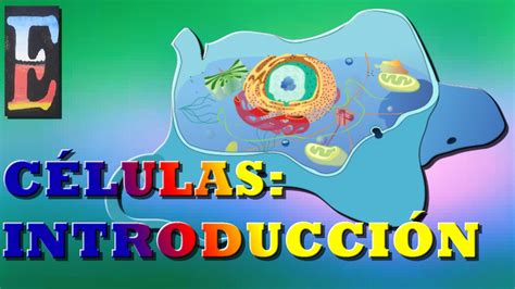 La célula Introducción YouTube