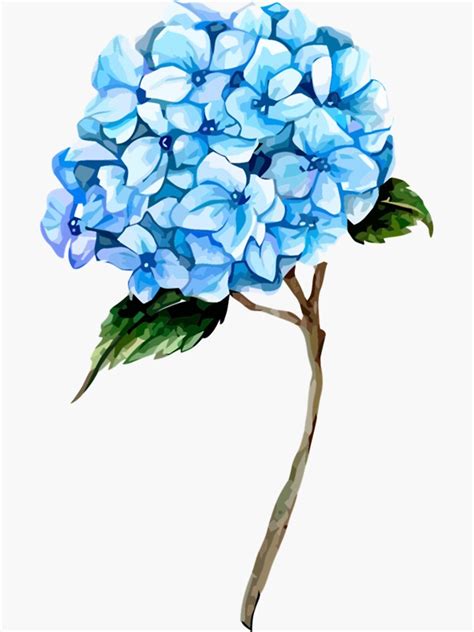 Hydrangea Sticker For Sale By WanMarsh Redbubble