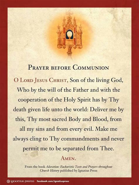 Prayer Before Communion Catholic Beliefs, Catholic Quotes, Catholic ...